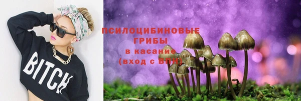 каннабис Алексеевка