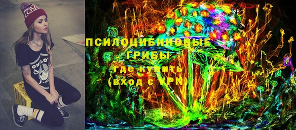 ПСИЛОЦИБИНОВЫЕ ГРИБЫ Алексин