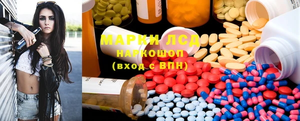 крисы Алзамай